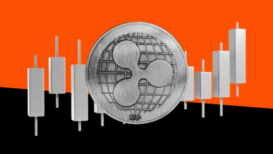 Ripple Doesn’t Control XRP Price Movements: Expert Reiterates