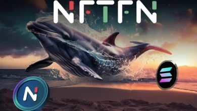 nftfn