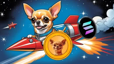 hump-token