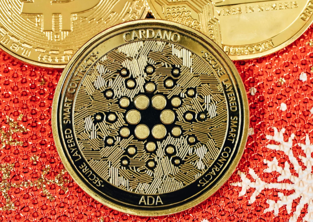 Image of a Cardano token on a red background