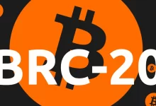 Bitcoin Halving Impact On Top BRC-20 Tokens! What To Expect This Month?