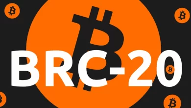 BRC-20 Tokens!