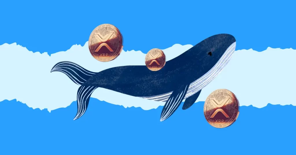 XRP Whales Seize Buying Opportunities Amid Market Fluctuations