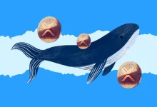 XRP Whale Transfers 129M XRP Amid Ripple Vs SEC Lawsuit Speculations
