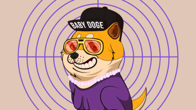 Baby DogeCoin Price Surges 15% With Zero-Fee Strategy
