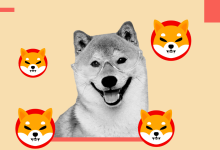 Shiba Inu Reveals Ambitious Plans for Shibarium Ecosystem: What’s Coming Next?