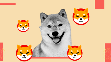Shiba Inu Reveals Ambitious Plans for Shibarium Ecosystem: What’s Coming Next?