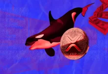 Why This Whale Moved 53M XRP Just Before SEC Deadline Of 29th April