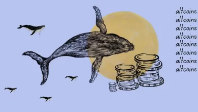 Top 3 Altcoins Crypto Whales Are Stacking This May: Should You Buy Now?