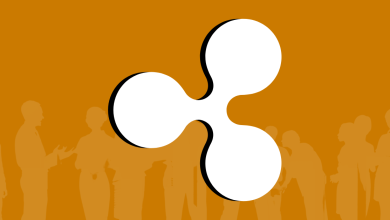 Ripple’s Monthly Locking Of 800M XRP Coins Took Place, Amid XRP Price Surge
