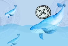 Whales Move 28M XRP Before Ripple vs SEC’s May 6th Deadline