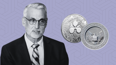 Ripple CLO Calls for End to 4-Year SEC Battle: XRP To Soar to $3!