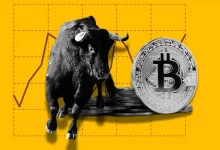 Bitcoin’s Bull Run
