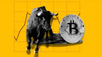 Bitcoin’s Bull Run
