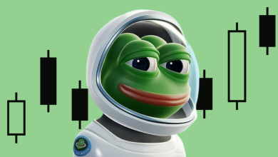 Pepe Coin Price Surge! Smart Investor Made Millions In Profit with 943% ROI