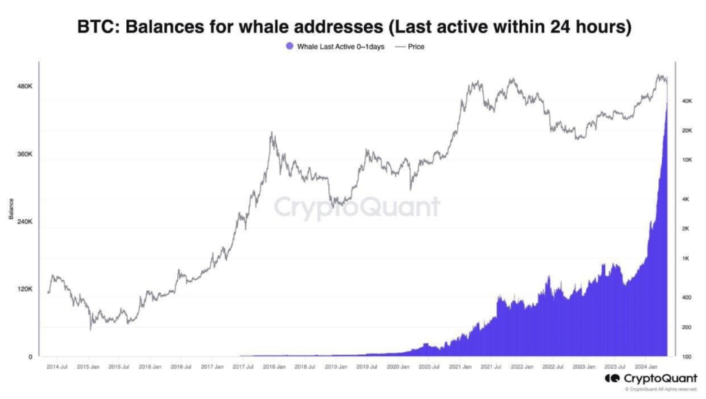 crypto-quant-chart