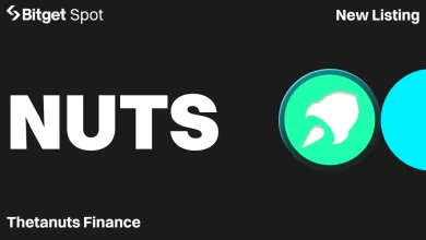 bitget-thetanuts-finance
