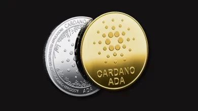 Cardano Node 9.0 To Be Live This June, Will ADA Price Rise Above $0.5 This Time?