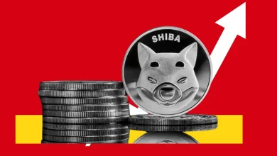 Shiba Inu price today