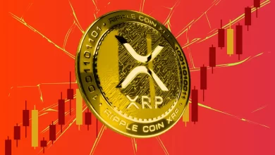 Ripple News