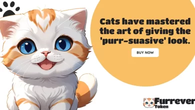 furrr-token