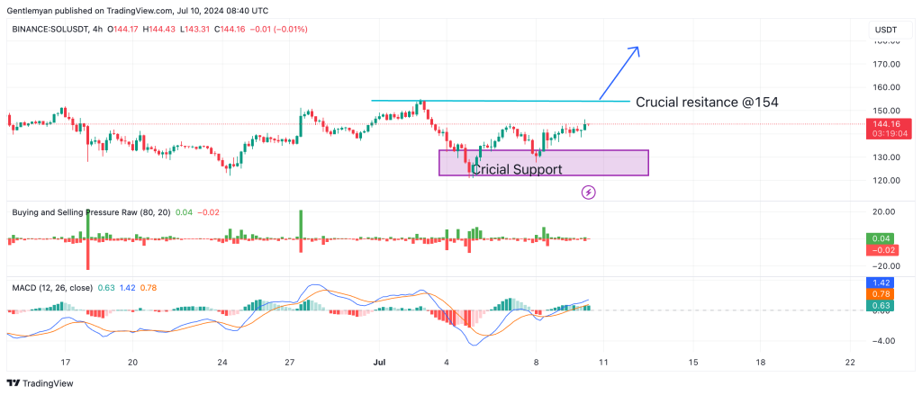 Análise de Solana (SOL): O Spot ETF News ajudará a recuperar o ímpeto?