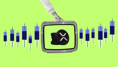 XRP Price Surge