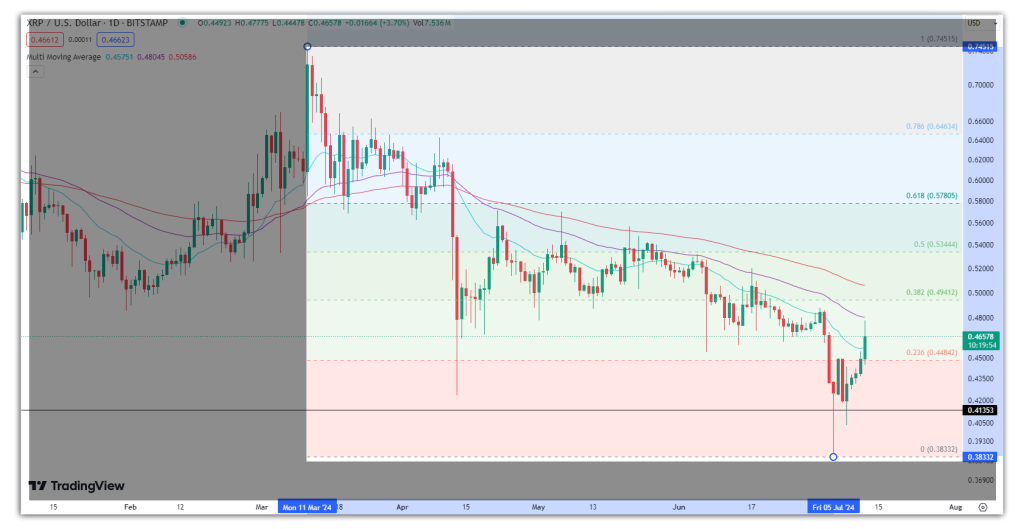 xrp fib chart