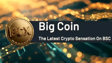 big-coin