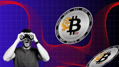 Bitcoin SV (BSV) Price Surges