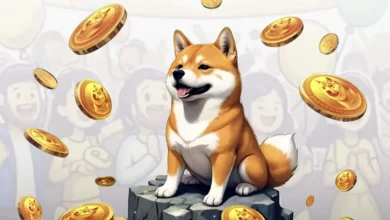 doge2014