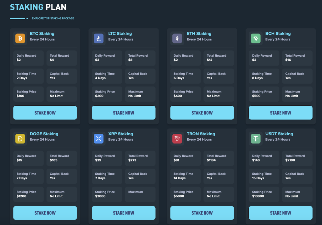 staking-plan