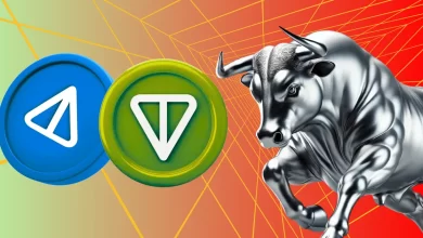 Toncoin (TON) And Notcoin (NOT)