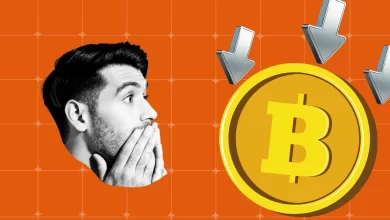 BCCI Crypto Ban