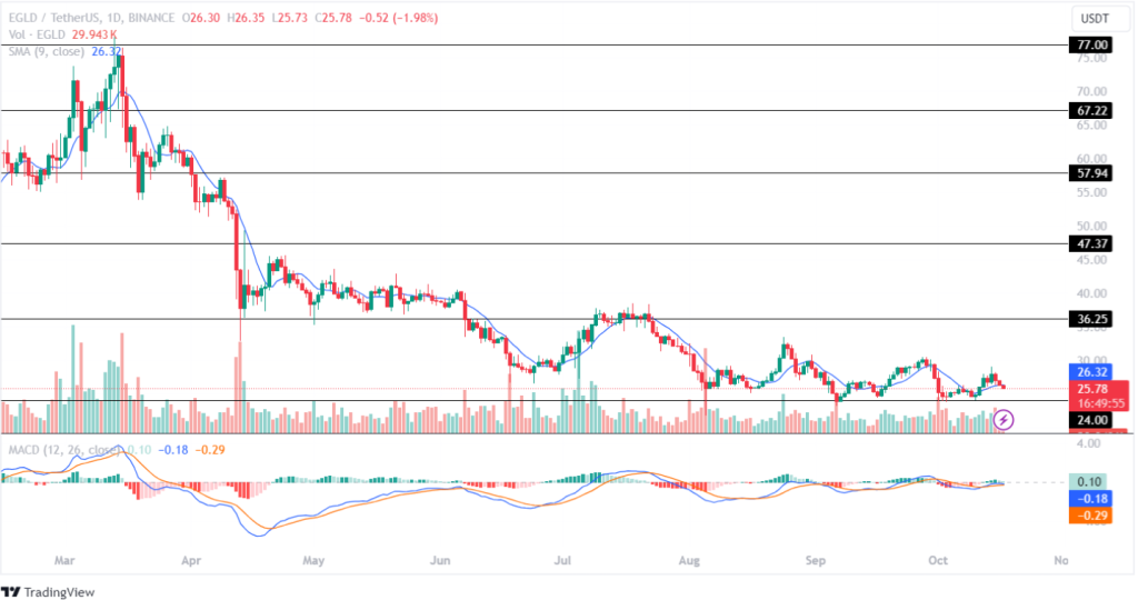 MultiversX Price Prediction 17th October 2024