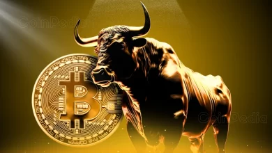 Bitcoin Bull Run 2024