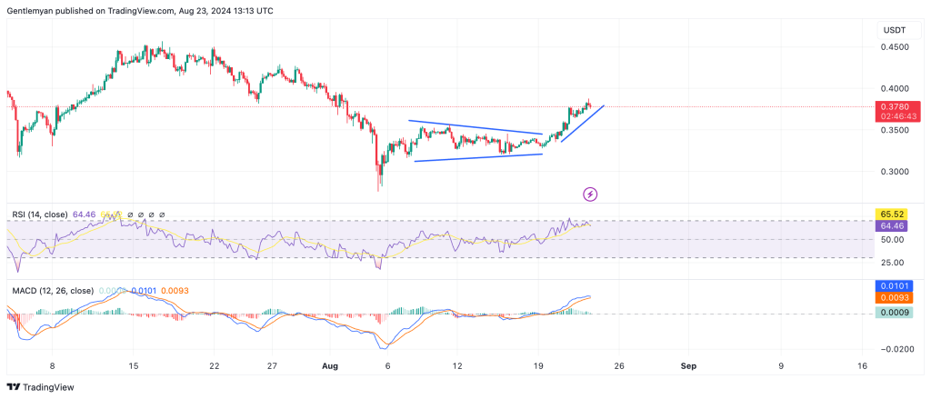 Sau MATIC, Cardano đang nỗ lực phục hồi sau khi lật 0,38 USD