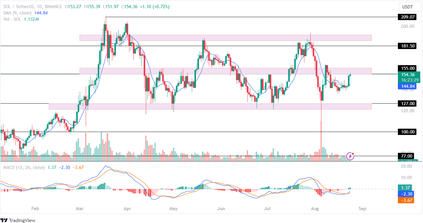 Từ Bitcoin đến Ripple, điều gì tiếp theo khi thị trường tiền điện tử sẵn sàng cho một đợt tăng giá?