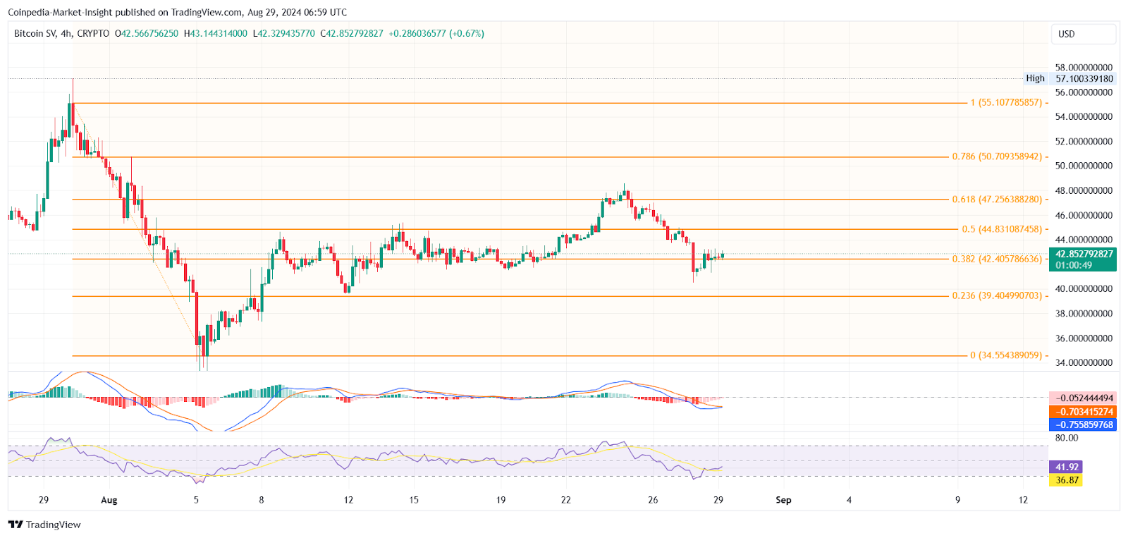 Восстановление Bitcoin SV ожидает 50 долларов, рост на 17%!