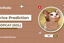 Price-prediction-Popcat-SOL