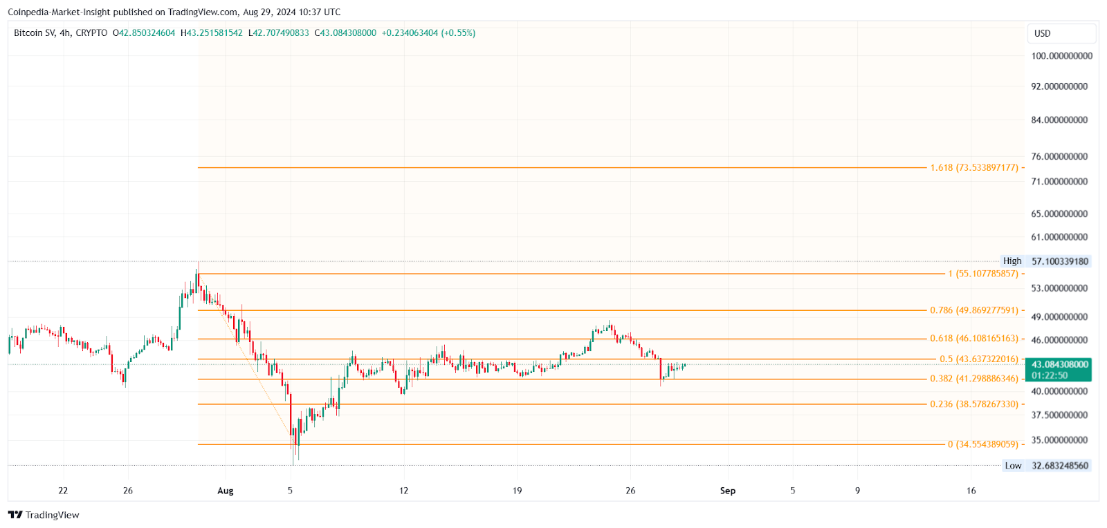 Dự đoán giá Bitcoin SV 2024-2030: Giá BSV sẽ đạt 100 USD?