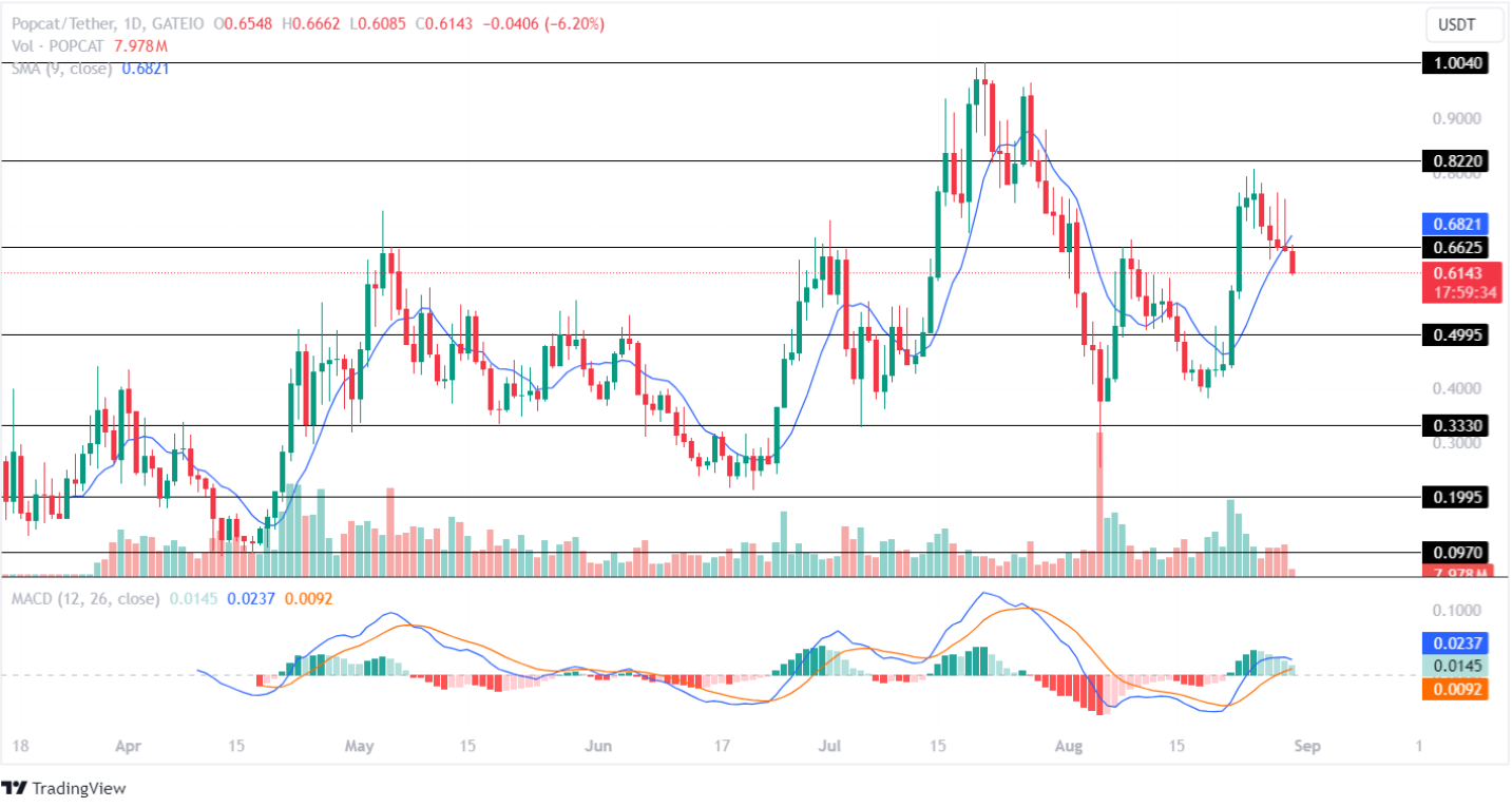 Dự đoán giá Popcat (SOL) POPCAT 2024 – 2030: POPCAT sẽ đạt 1 USD trong năm nay?