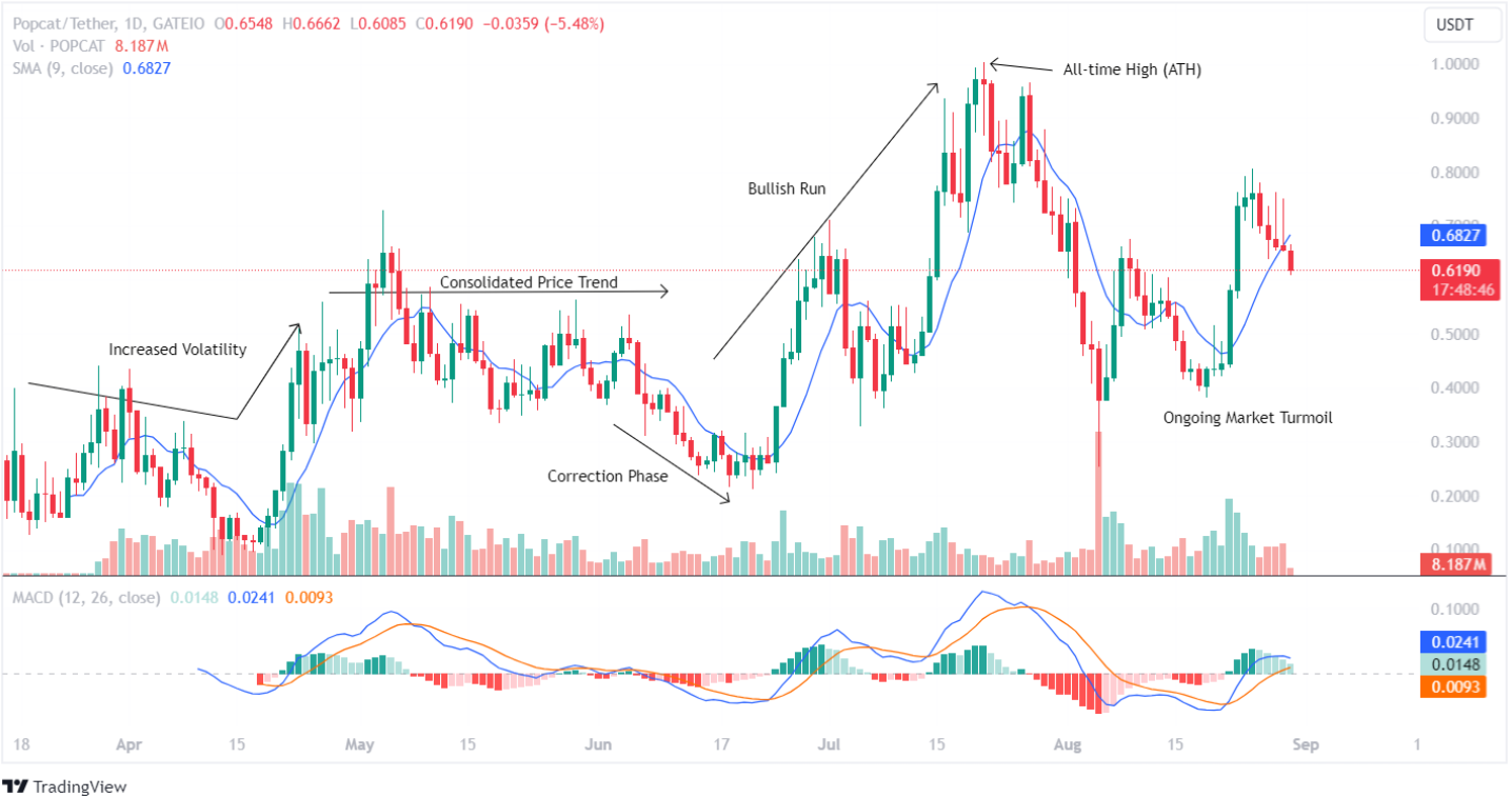 Dự đoán giá Popcat (SOL) POPCAT 2024 – 2030: POPCAT sẽ đạt 1 USD trong năm nay?