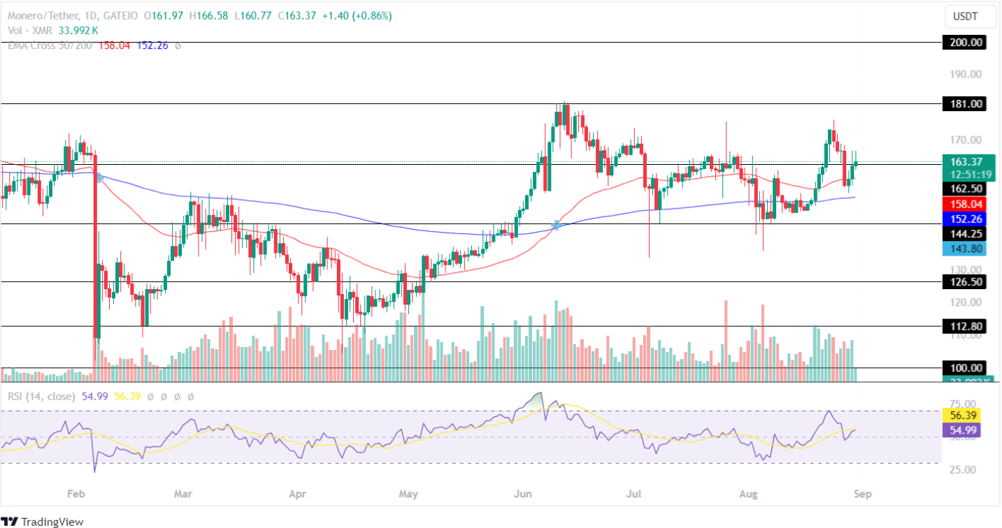 Цена Monero (XMR) намекает на рост на 20% на фоне бычьего разворота?