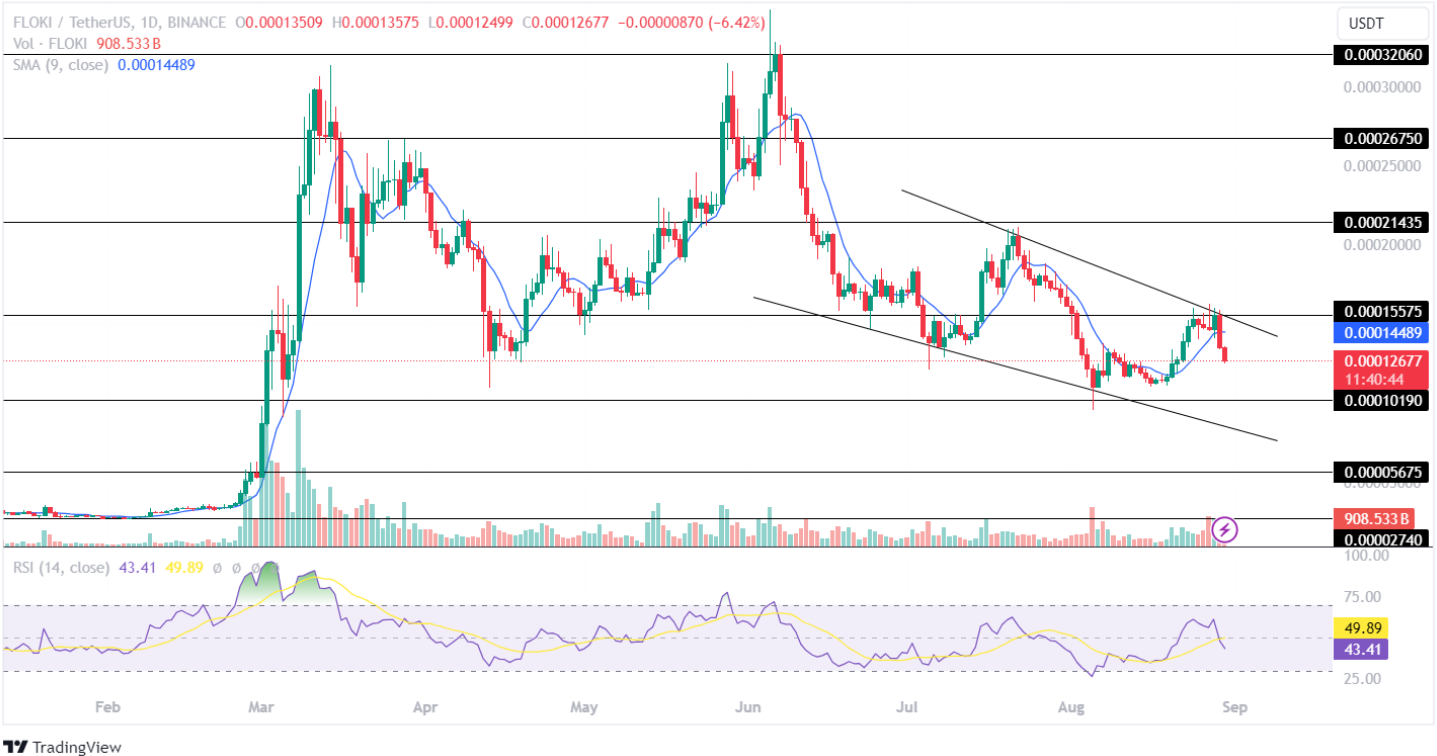 Floki Price Analysis 30th Aug 2024