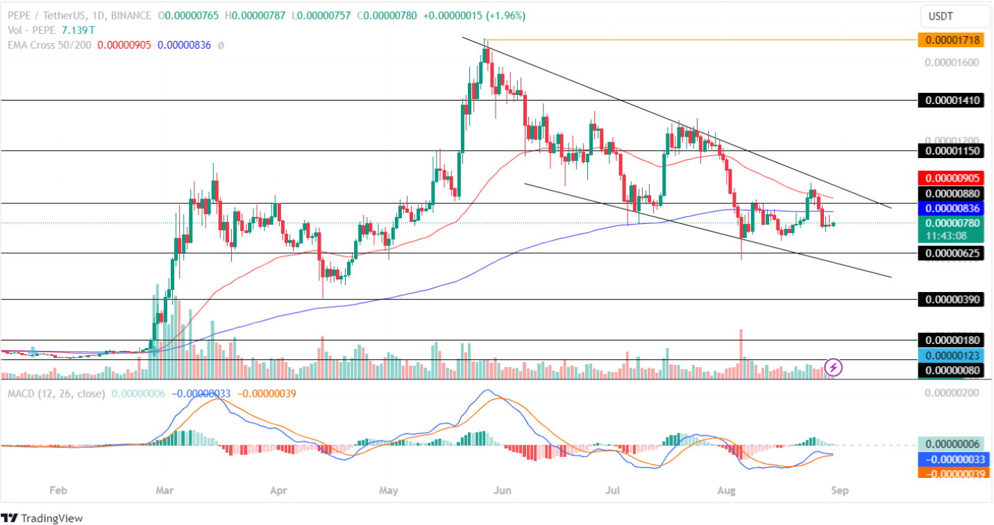 Pepe Price Analysis 30th Aug 2024