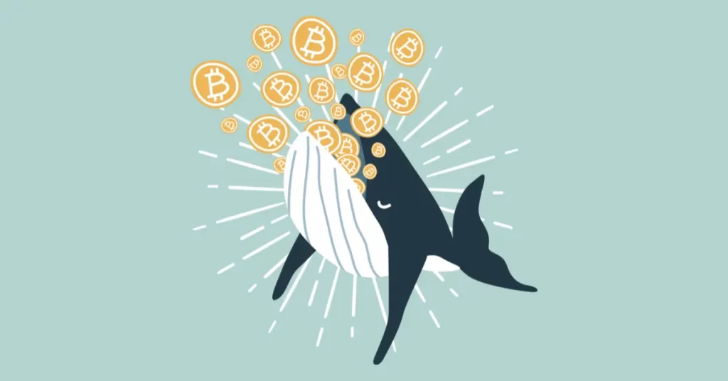 Crypto Whale Activity Drops! Should Investors Brace for a Market Shake-Up?