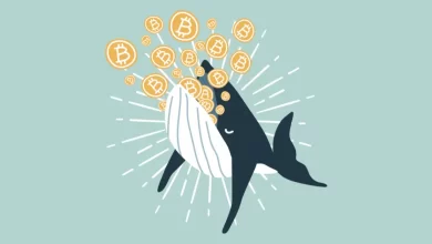 Bitcoin Whale Moves $221M as Price Tops $65K 
