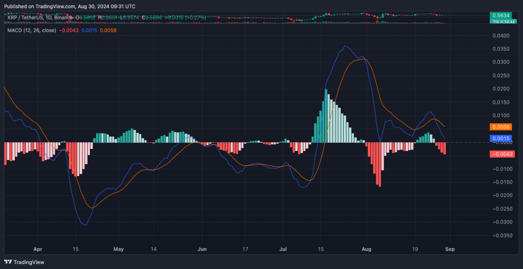 trading-view-chart