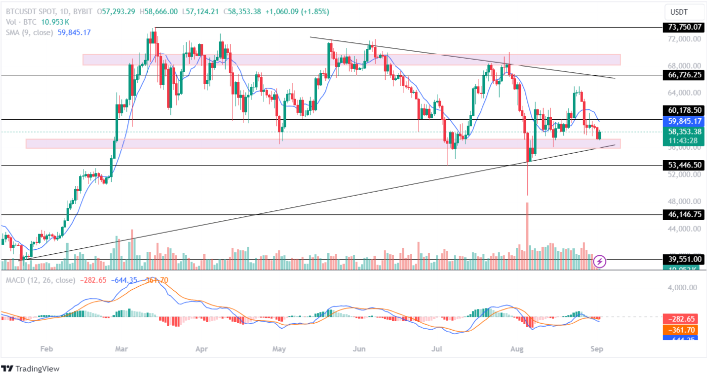 Bitcoin Price Analysis 2nd September 2024